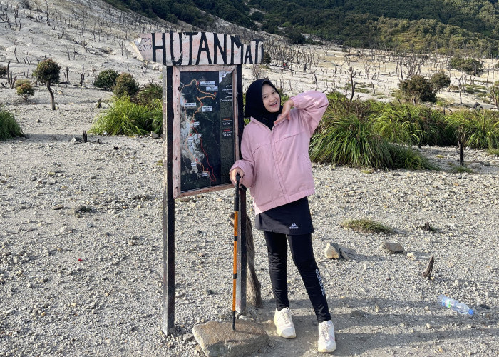Petualangan Jalur Manja dengan Pemandangan Spektakuler