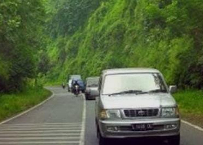 Alas Roban: Antara Keindahan Alam dan Cerita Horor yang Tak Pernah Padam