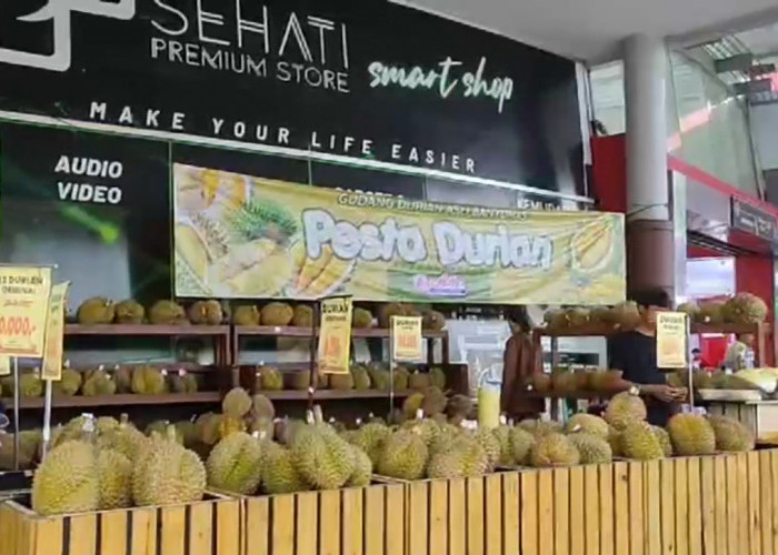 Pesta Durian Plaza Asia, Makan Sepuasnya Hanya Rp 150 Ribu, Durian Didatangkan Dari Banyumas dan Bali