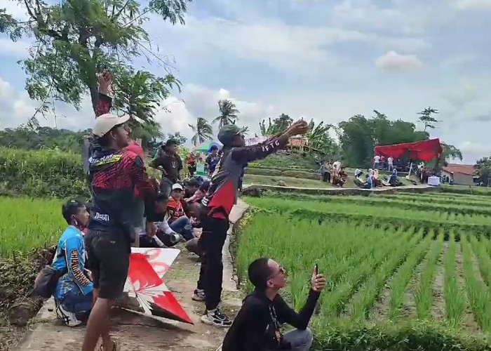 Ratusan Joki Ikuti Lomba Layangan Adu Di Tasikmalaya, Ajang Cari Joki Skala Nasional