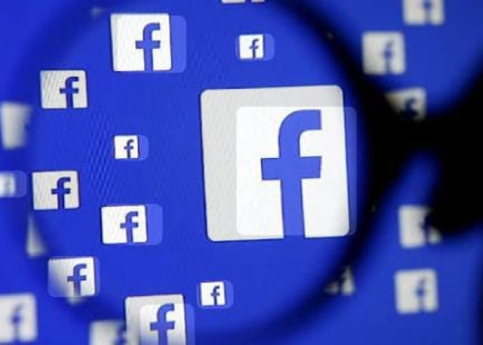 Ladang Baru di Halaman Lama:Mengapa FB Pro Adalah Kesempatan Kedua Bagi Kreator yang 'Gagal' di TikTok