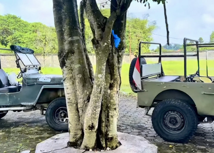 Wajib Baca! Panduan Aman Offroad Galunggung Biar Liburan Kamu Nggak Berakhir Drama