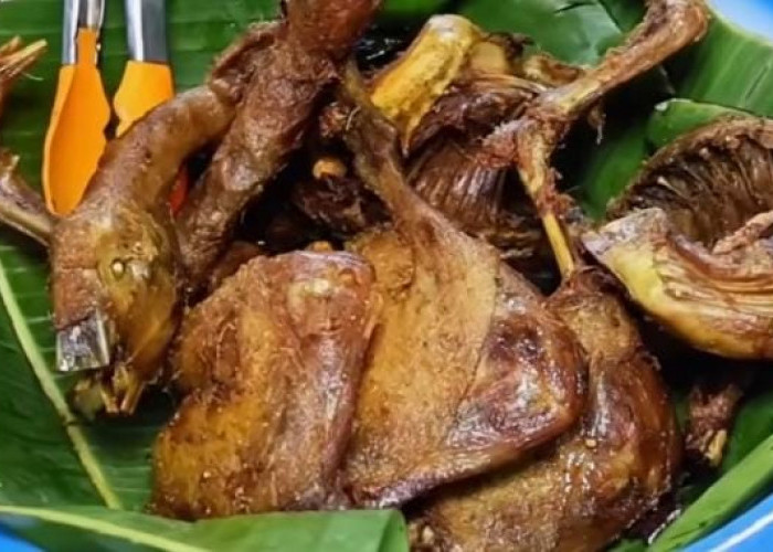 Rela Antre Berjam-jam! Mengintip Rahasia Kelezatan Ayam Goreng Warung Doyong Bogor yang Viral