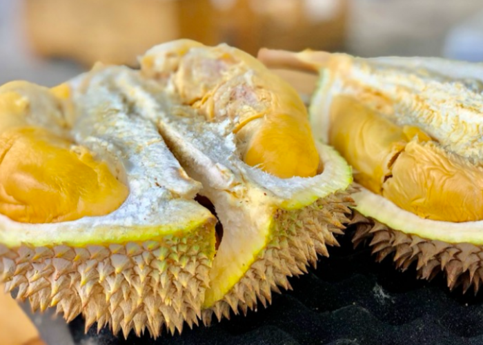 Kamu Suka Makan Durian? Ini dia Jenis Durian Yang Harus Kamu Coba. 