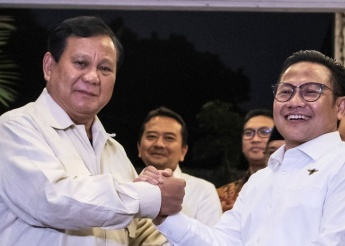 Bukan Sekadar Sowan, Ini 3 Rahasia Dibalik Pertemuan Besar Prabowo & Pengurus PKB Se-Indonesia di Istana