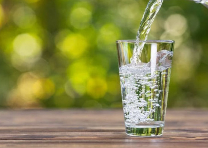 Sering Dianggap Sepele, Minum Air Putih Cukup Tiap Hari Ternyata Jaga Tubuh dari Kepala hingga Ginjal