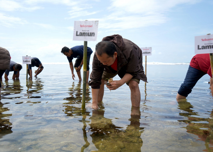 Berbagi Hepi dengan Donasi Poin : Aksi Nyata Tanam 3.000 Bibit Lamun dan Bangun Rumah Kultivasi