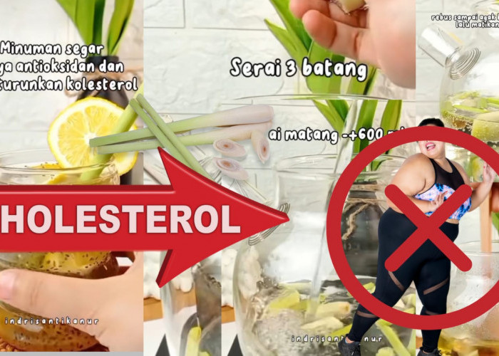 Turunkan Kolesterol dengan Rebusan Serai, Campuran Bahan-Bahan dan Resep Memasaknya Lengkap Disini
