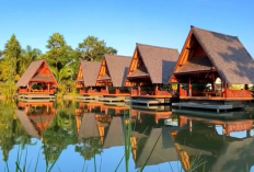 Lembur Konang: Rumah Makan Sunda & Seafood di Tasikmalaya yang Harus Masuk Daftar Kamu!