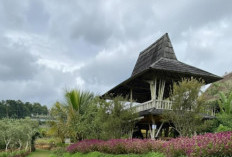 Taman Cecenet Cijambu Sumedang, Wisata Alam Asri dengan Sensasi Petik Buah Langsung dari Kebun