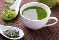 Rahasia Minuman Pembakar Lemak Perut Terungkap: 3 Pilihan Sederhana yang Disebut Efektif Secara Ilmiah