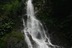 Update Tiket Curug Tujuh Cibolang 2026: Gak Nyangka Harganya Masih Semurah Ini! Cek Sekarang!