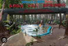 Destinasi Hidden Gem 2026: Merasakan Ketenangan Arga Hot Springs di Tengah Hutan Pinus