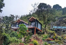 Sensasi Berendam di Tengah Hutan Pinus: Nimo Jungle Hot Spring, Destinasi Healing Paling Estetik di Ciwidey!