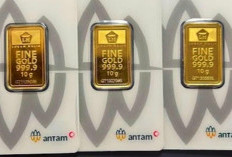 Update Harga Emas Antam Februari 2026: Kembali Melonjak ke Level Rp2,95 Juta per Gram