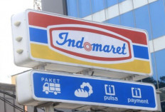 Gurita Bisnis Retail: Rahasia di Balik Kesuksesan Indomaret Mendominasi Pasar Indonesia