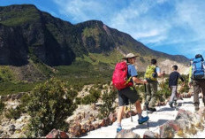 Update 2026: Inilah Budget Masuk ke Wisata Alam Gunung Papandayan Tanpa Menguras isi Dompet