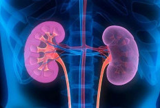 Rahasia Ginjal Kuat Tanpa Obat: Tips Sederhana dari Ahli Nefrologi Selama 30 Tahun