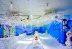 Update 2026: Serunya Main Salju di Panama Park, Wisata Indoor Favorit Keluarga di Bandung