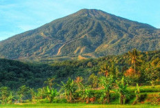Panduan Lengkap Mendaki Gunung Ciremai: Jalur, Estimasi Biaya, dan Persiapan Fisik