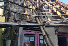 Kisah Pilu Nenek 77 Tahun Tinggal di Rumah Nyaris Roboh, Ketua Komisi III Dorong Pemkot Bantu Perbaikan