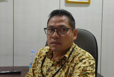 Cegah Kebocoran, Dishub Tambah Pengawas Juru Parkir, 20 Petugas Akan Mengawasi 400 Kantong Parkir