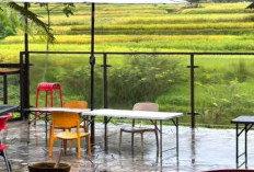 Sekali Singgah Auto Ketagihan, RM Tepi Sungai Tasik–Garut Sajikan Makan Enak dan View Alam Menenangkan