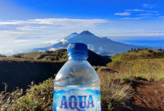 Pesona Gunung Prau Negeri di Atas Awan yang Ramah Bagi Pendaki Pemula