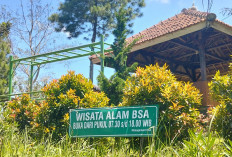 Dari Berenang hingga Glamping, Bukit Sampalan Asri Tawarkan Wisata Alam di Ciamis
