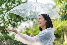 Hati-Hati! Ini 5 Penyakit yang Sering Muncul di Musim Hujan Menurut dr. Jeremi