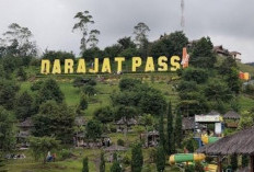 Update Harga Tiket Masuk Darajat Pass Garut Februari 2026: Weekday vs Weekend