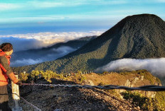 Update Harga Tiket Gunung Gede Cianjur 2026: Tarif Simaksi Terbaru dan Cara Booking Online