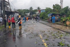 Cuaca Ekstrem, Pohon dan Tiang Listrik di Jalan Moh Hatta Tumbang, Tiang Listrik Tmpa Motor 