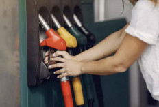 Bukan karena Pandemi, WFH Sekarang Demi BBM. Ada Apa dengan Indonesia?