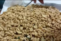 Kriuknya Awet Berbulan-bulan! Resep Kacang Bawang Santan yang Gurihnya Meresap Sampai ke Dalam