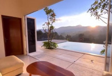 Panduan Lengkap Liburan ke Taman Kopi Guntang: Harga Kamar, Rute, dan Tips Agar Tidak Kedinginan