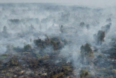 Kabut Asap Karhutla Selimuti Kalimantan, Langit Berubah Oranye dan Korban ISPA Tembus Ratusan Ribu