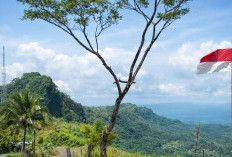 Hidden Gem Kota Cianjur 2026: Mengintip Eksotisme Gunung Sawo di Desa Girijaya