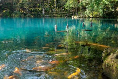 Update 2026: Wisata Telaga Biru Cicerem, Pesona Air Tosca yang Elegan dan Menenangkan Wisatawan