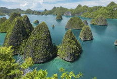 Update Biaya Ke Raja Ampat 2026: Rincian Lengkap dari Tiket hingga Penginapan