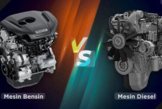 Duel Mobil Diesel vs Bensin: Siapa Lebih Unggul dalam Performa dan Efisiensi