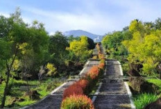 Update Wisata Kebun Raya Kuningan 2026: Info Tiket, Fasilitas, dan Transformasi