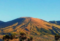 Gunung Guntur: Menjelajahi 