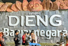 Menjelajah Dieng Banjarnegara, Menikmati Keindahan Alam di Dataran Tinggi