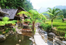 Murah Meriah tapi View Mewah! Putri River Inn Sumedang Tawarkan Wisata Alam Mulai 5 Ribuan