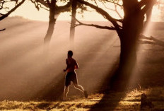 Bukan Sekadar Keringatan, Ini Rahasia Lari Sore Bisa Bikin Kamu Pintar Sekaligus Anti Stres!