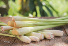Daun Serai Cuma Buat Teh Hangat? Ternyata Khasiatnya Bikin Kaget!