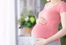 Anti Mual & Segar! 5 Menu Takjil Trimester Pertama agar Puasa Ramadhan 2026 Tetap Nyaman