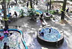 Update Wisata Hot Spring Tasikmalaya 2026: Daftar Harga Tiket dan Fasilitas Terbaru