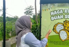 Panduan Wisata Sangkanika Edugarden Kuningan: Rute, Fasilitas, dan Keseruan Edukasi Organik